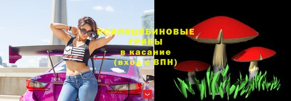 синтетический гашиш Алексин